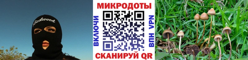 Галлюциногенные грибы Magic Shrooms  Чебоксары 